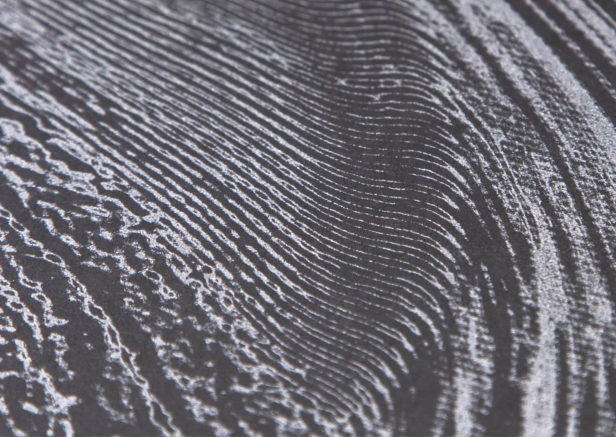 Through the process i decided, among other things, to screen print the resulting image with silver paint on black paper.