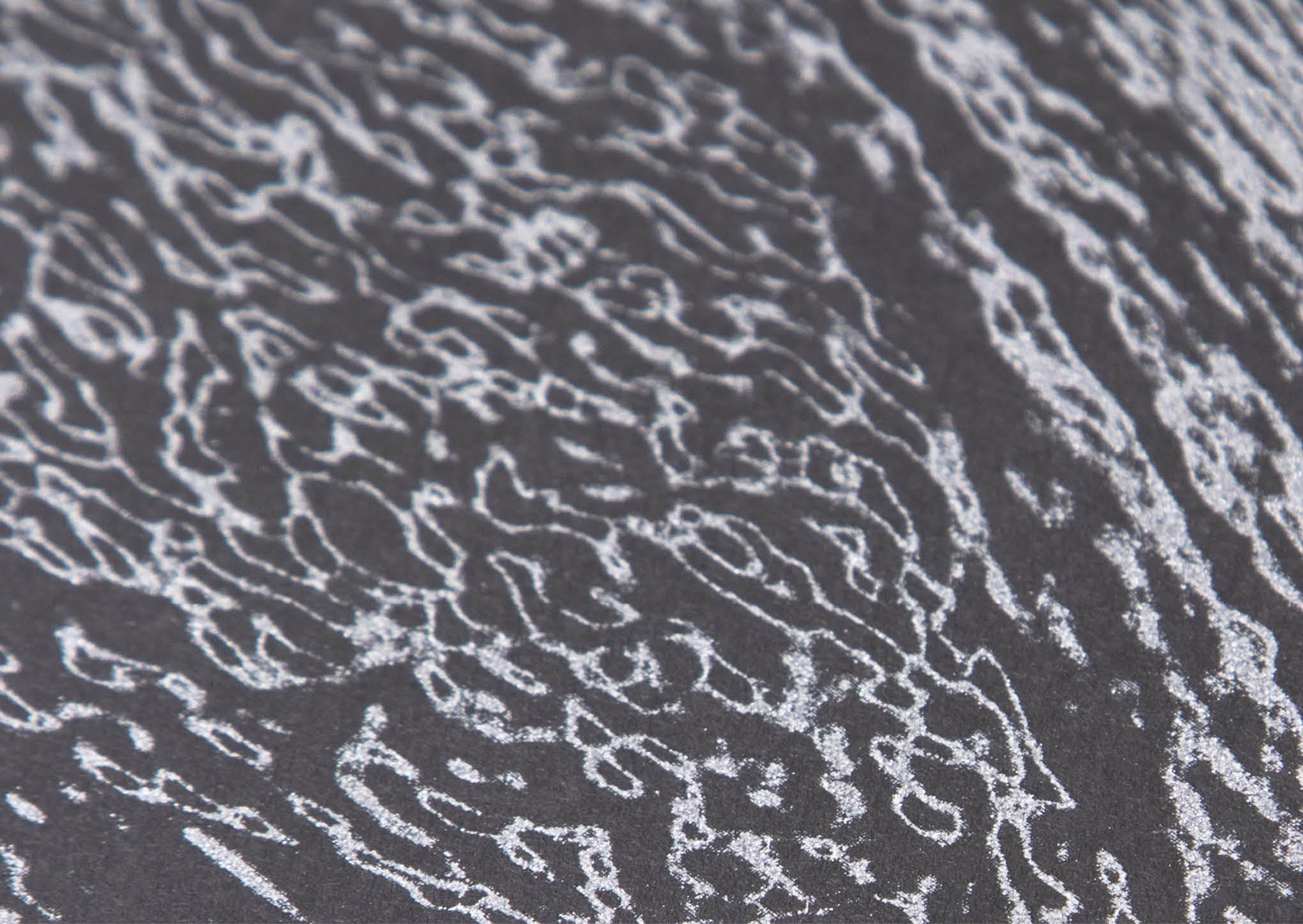 The print and the silver color used created such interesting details in the image.